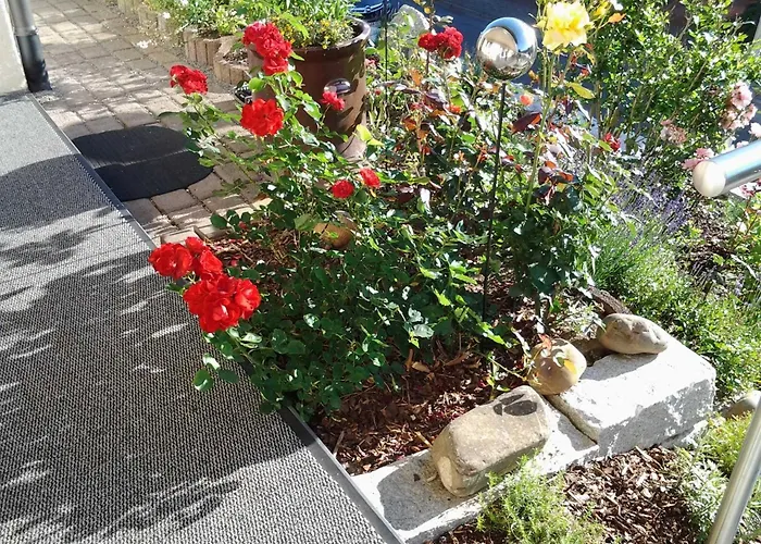 Apartment Ehret Wald-Michelbach